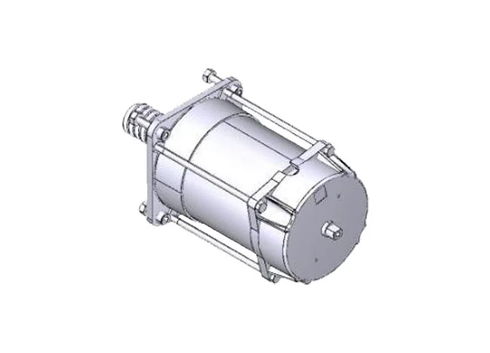 came pièce détachée du groupe moteur c-bx 119ricx039