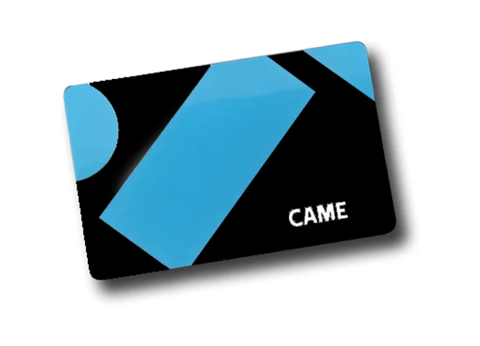 came bpt paquet de 10 clés de proximité en format carte dbad10 61800460