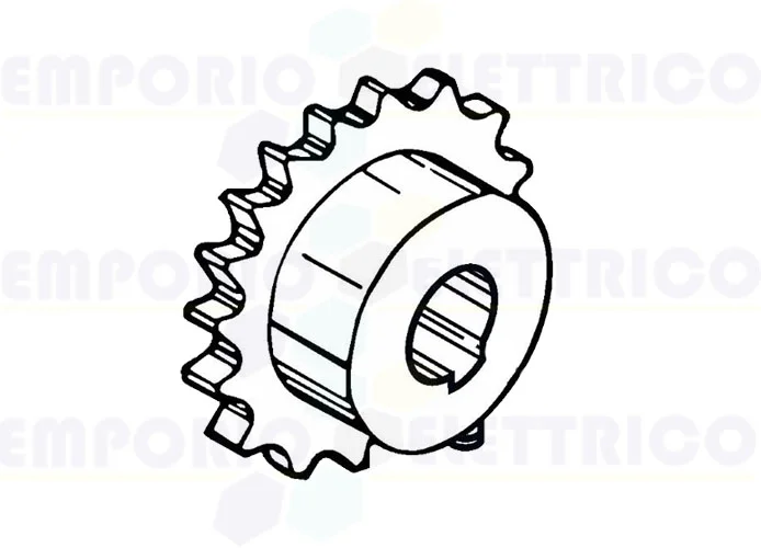 fadini pignon simple 1/2" z20 2055l